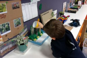 Science experiences at Kinder